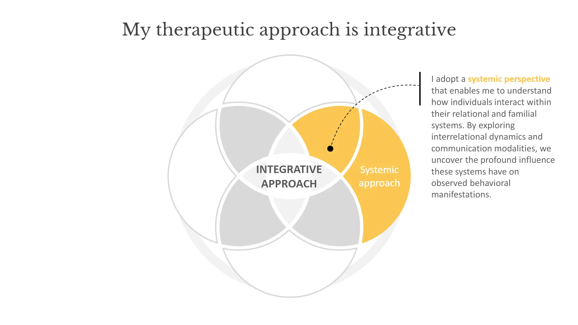 schéma de la thérapie intégrative - approche systémique