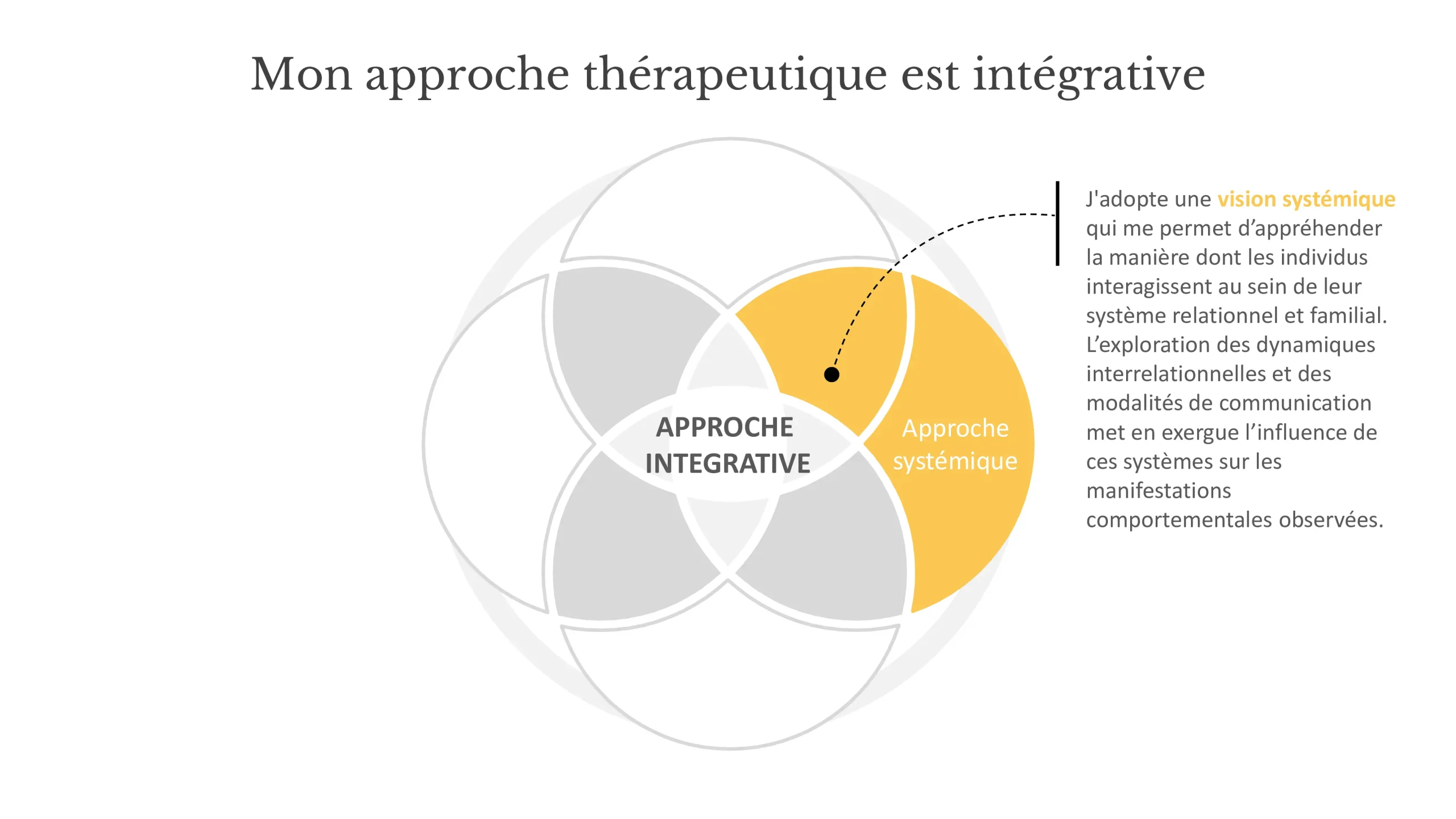 schéma de la thérapie intégrative - approche systémique