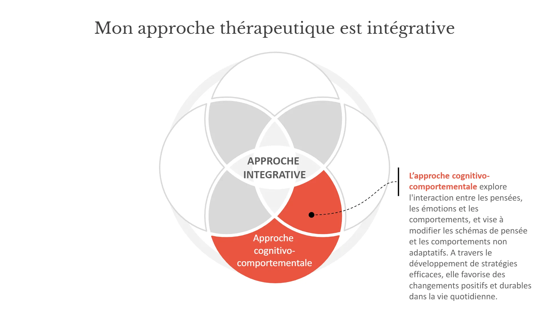 schéma de la thérapie intégrative - approche cognitivo-comportementale